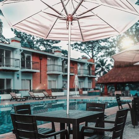 Hotel Y Restaurante Meson Del Gitano Каукасия Экстерьер фото